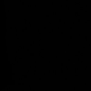 Meet your Posher, Jaseria